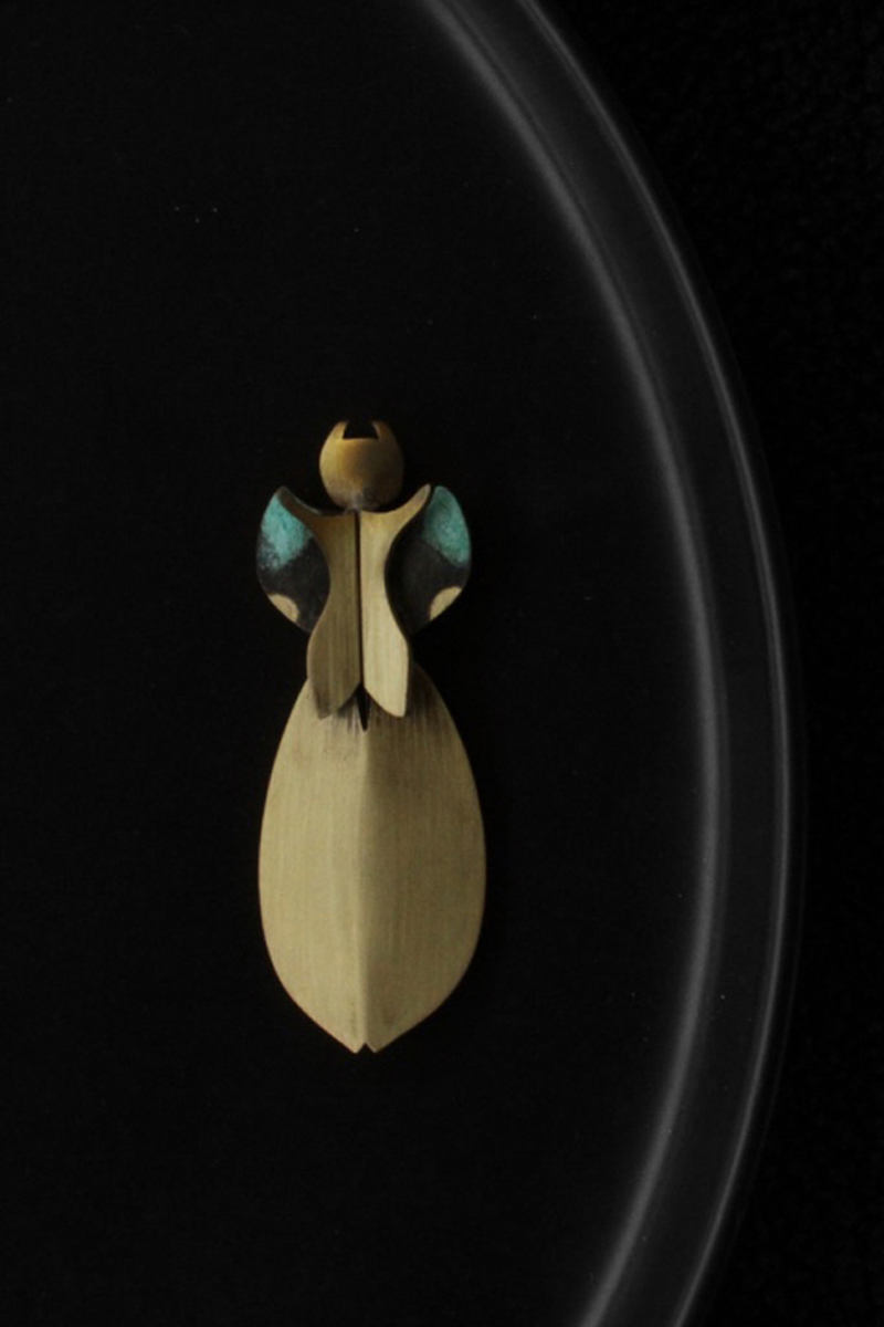 ground beetle | clasp_7