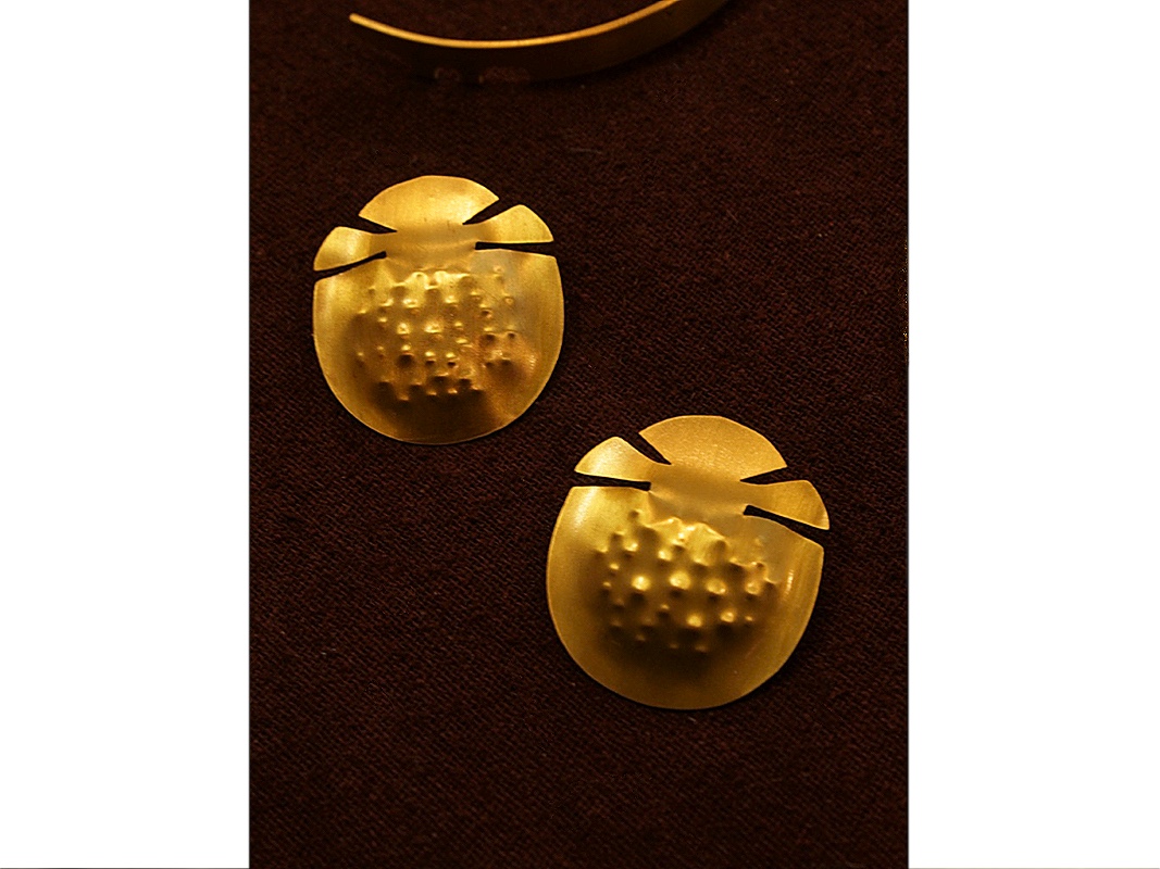 large Tortoise beetle_studs - Image 2