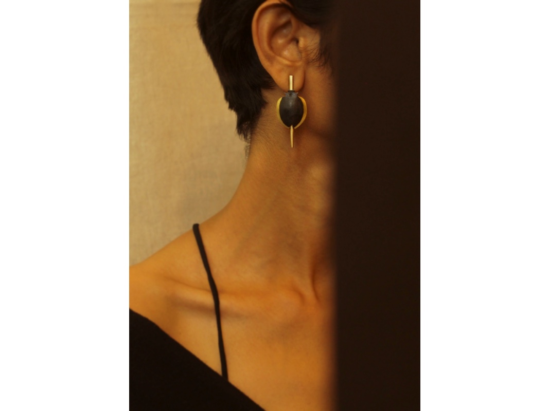 tortoisebeetle black | stud_7 - Image 2