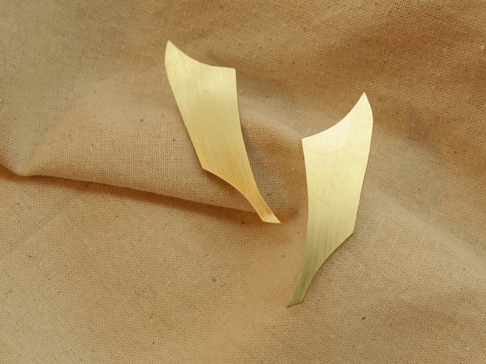 Pinna _Ear Lobe - Image 9